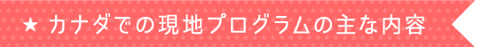 カナダでの現地プログラムの主な内容