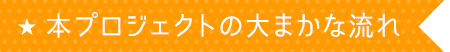 本プロジェクトの大まかな流れ