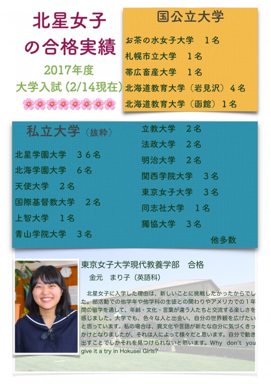 2017年合格実績チラシ