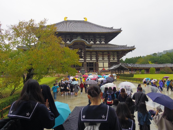 写真②雨の東大寺