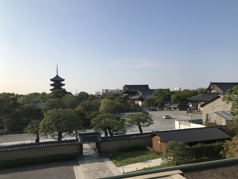 朝の東寺